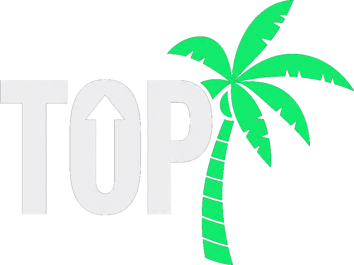 Top Tree