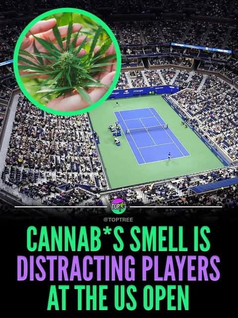 Cannab*s smell is distracting players at the US Open