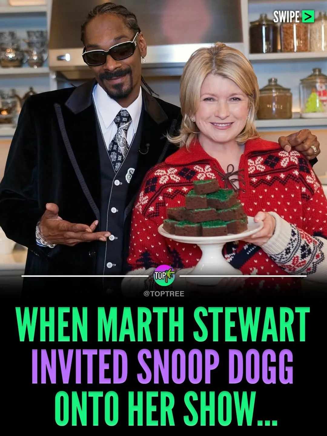 When Marth Stewart invited Snoop Dogg onto her show