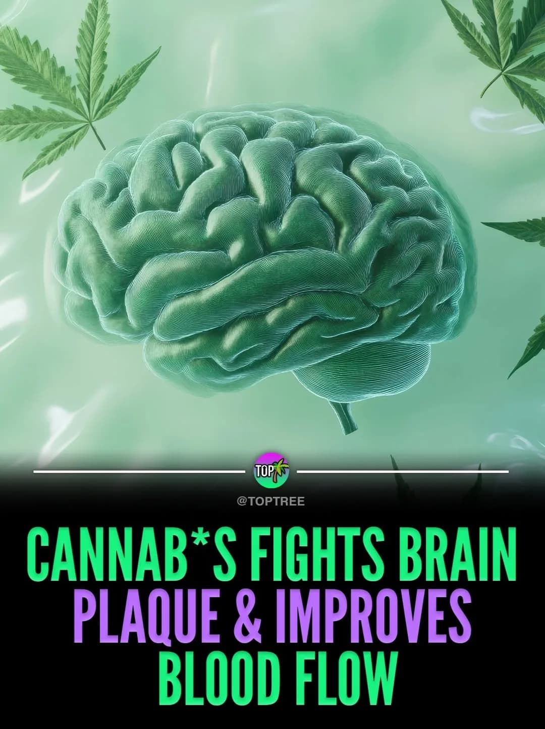 Cannab*s flights brain plaquw & improves blood flow