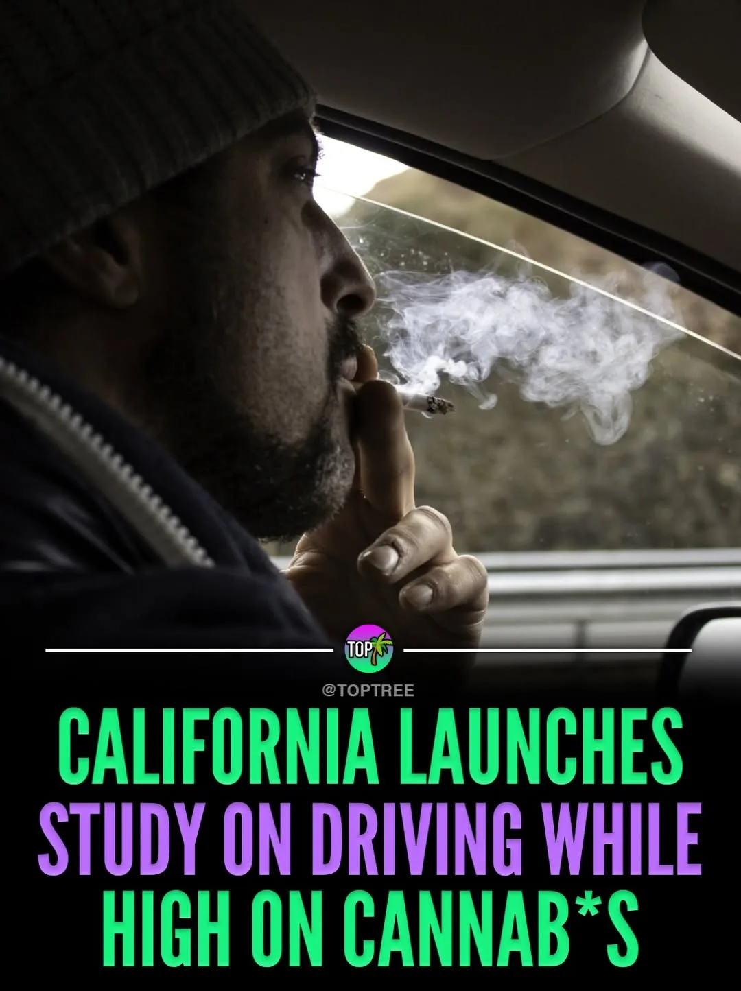 California driving while high on cannab*s study