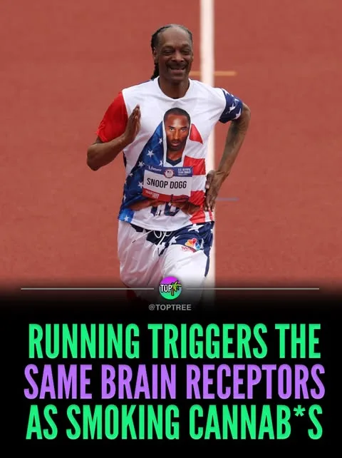 Running triggers the same brain receptors as smoking cannab*s