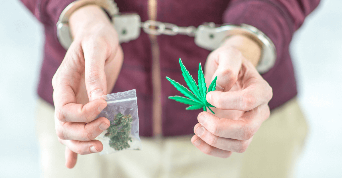 Cannabis Counterculture & The War on Drugs